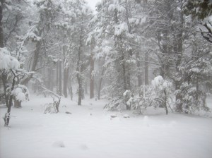 Not what I'd planned.