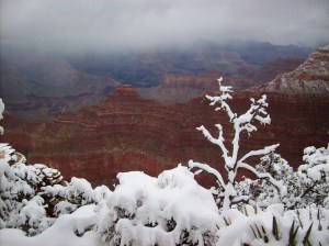 Something that's not grey or white!