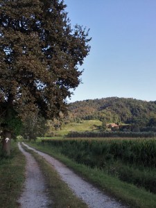 Navigation was never difficult.