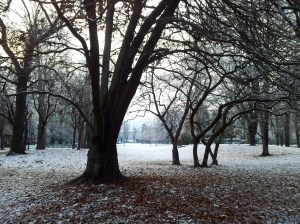 Oh yeah, and snow. Still don't quite have the hang of living with that.