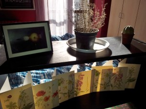 Magic light this afternoon.