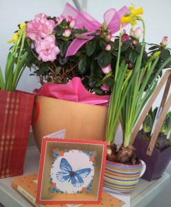 Also, now I have a lot of plants to try not to kill. They're still looking beautiful, but I am no gardener...