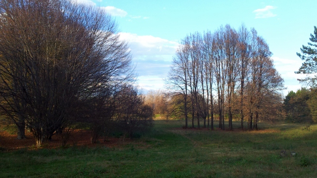 Parco Coletta, Turin