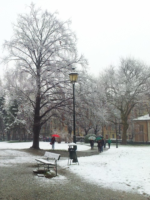 20160305_095503 (480x640)