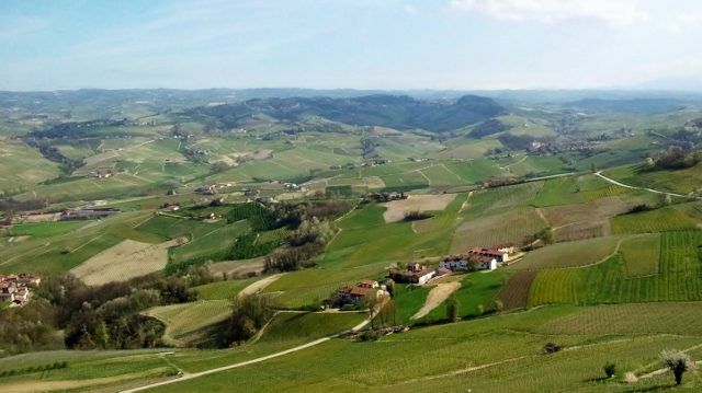 Hills in Barolo