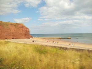 20160809_163104 (640x480)