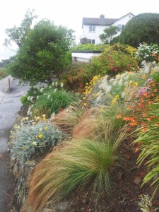 20160810_104037 (480x640)