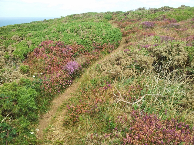 South West Coast Path, Cornwall