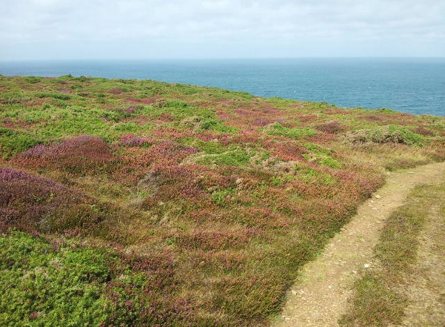 South West Coast Path, Cornwall