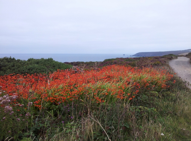South West Coast Path, Cornwall