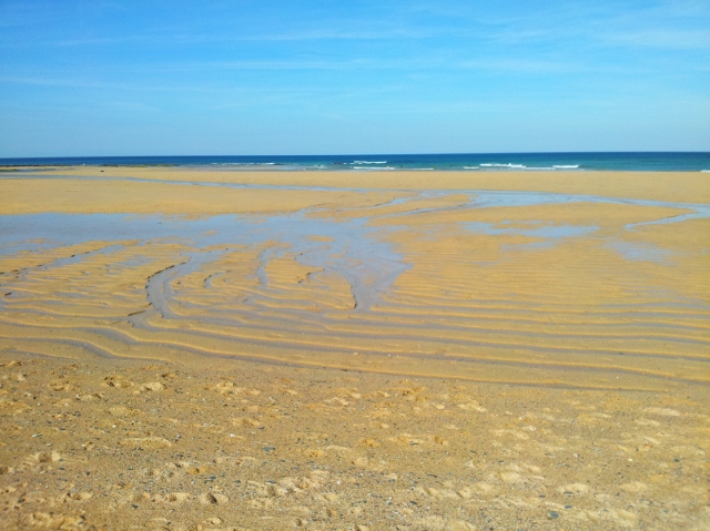 Ripples in the sand