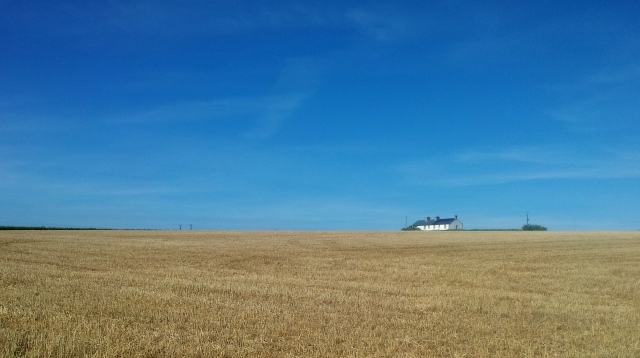 Farmland in Cornwall