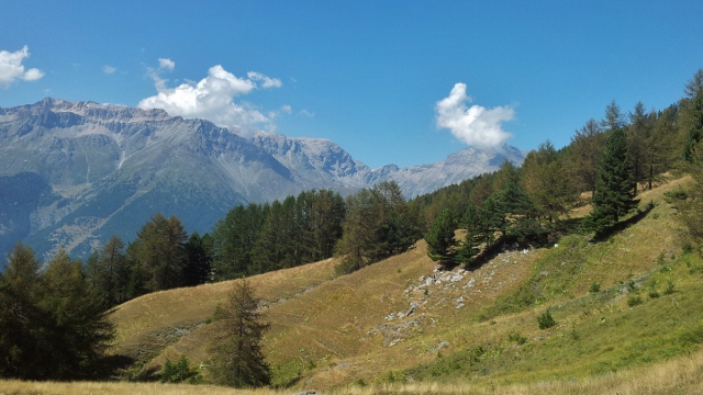 Susa Valley from Gran Bosco di Salbertrand