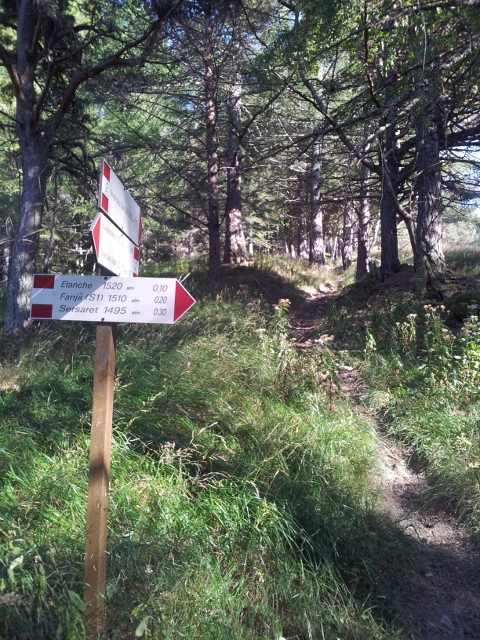 Trail markers in Gran Bosco di Salbertrand