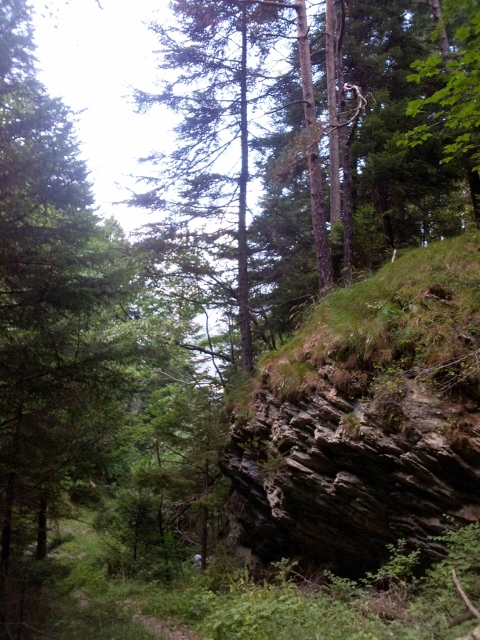 Gran Bosco di Salbertrand