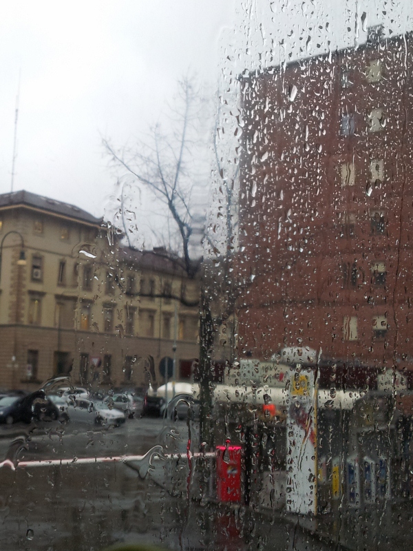 A rainy view from the bus window